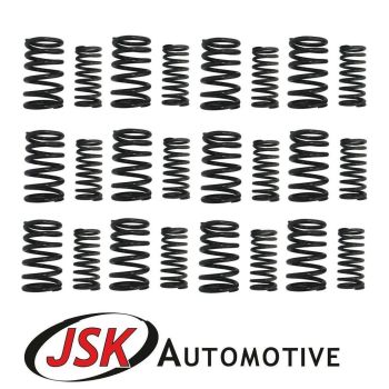 Cylinder Head Valve Springs for Leyland 680 & TL11 Engines 24pc Inner & Outer
