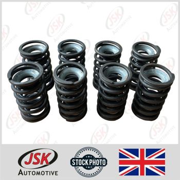 Head Valve Springs and Cap set for BMC 1.5