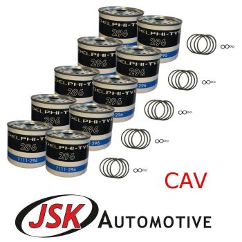 10 CAV Fuel Filters JCB 3C 3CX 3D 3DS 4C 4CN 4CX 406 407 409 410 411 412 415 416