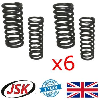 Head Valve Spring Set 24pc for Leyland 401 Engine (Possibly More)
