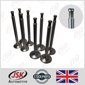 Type-2 Engine Valve Repair Kit for BMC B Series 1.5 1500 Diesel Marine Engine