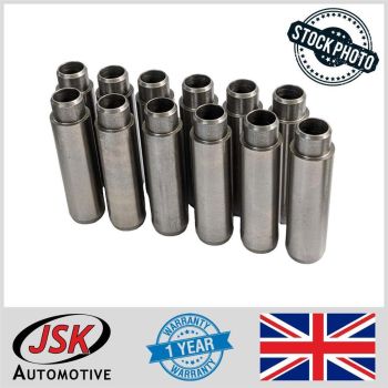 12 Valve Guides Inlet & Exhaust Oil Seal Type for Leyland 600 680 690 TL11