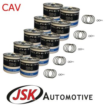 10 pc Delphi CAV Fuel Filters For Massey JCB Kubota Case IH David Brown Landini