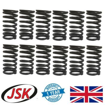 Valve Spring Set 12pc for Cummins 8.3L 6C 6CT 6CTA 