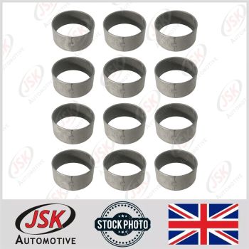 Camshaft Bearing Bush 12pc Set for Leyland 690 Engines
