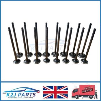 1.2L I-VTEC L12B1 L12B2 16Pc Petro Intake and Exhaust Valve for Honda Jazz