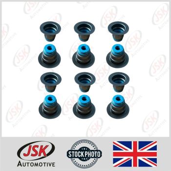 Valve Stem Oil Seal Kit for Cummins 5.9 6B 6BT 6BTA 6BTAA - OEM Spec
