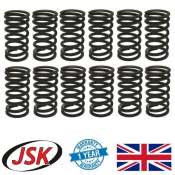 Valve Springs 6pc Inlet & 6pc Exhaust for MAN D0824 D0826 D0834 D0836