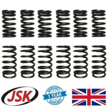 Intake Exhaust Valve Springs For Cummins 5.9 6B 6BT 6BTA