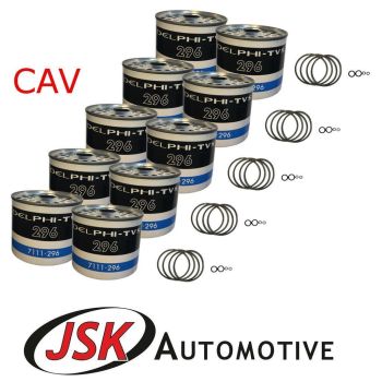 10 Pc Delphi CAV Fuel Filters Nuffield 10/42 10/60 3/42 3/45 3DL 4/60 4/65 4DM