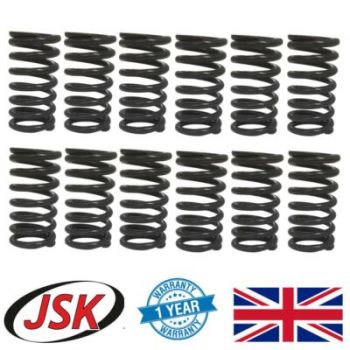 Valve Spring Set 12pc for Cummins 8.3L 6C 6CT 6CTA 