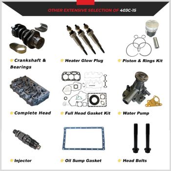 Fuel Injector for Perkins 104.22 403A-15 403C-15 404C-22 Replaces 131406490