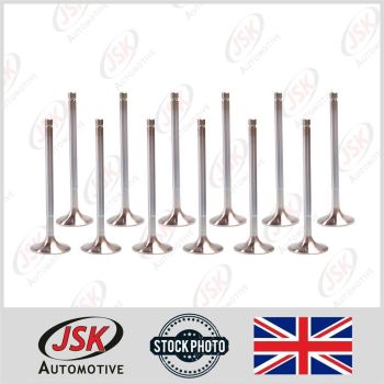 Head Valve Set 12pc Inlet & Exhaust for Leyland 400 401 411 Engine SW400 6CT107