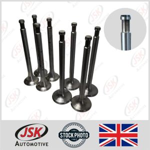 Type-2 Engine Valve Repair Kit for BMC B Series 1.5 1500 Diesel Marine Engine